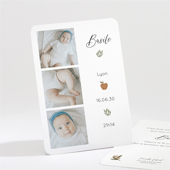 Faire-part naissance Présentation réf.N211368