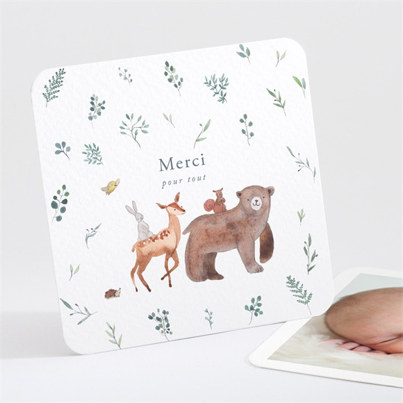 Remerciement naissance La Joyeuse Bande réf.N301320