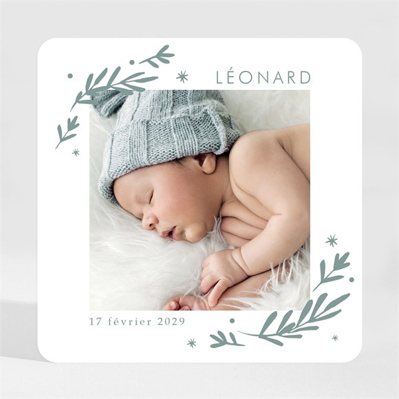 Faire-part naissance Végétal vert pastel magnet réf.N3001884