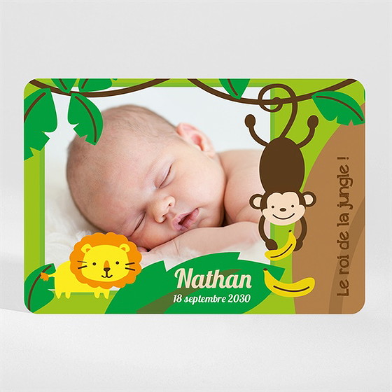 Faire-part naissance notre petit singe magnet