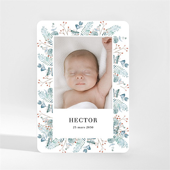 Faire-part naissance esquisse végétale magnet