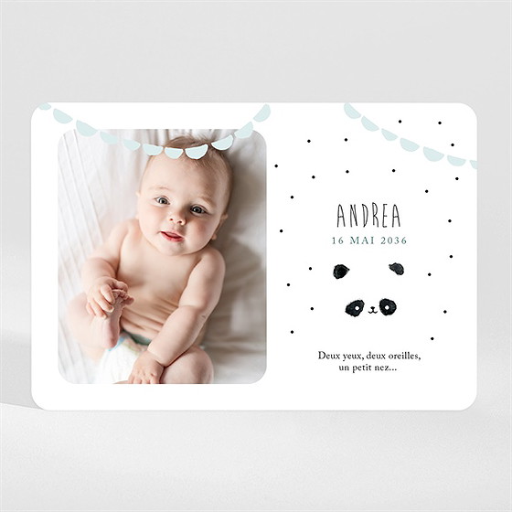 Faire-part naissance mon joli panda magnet
