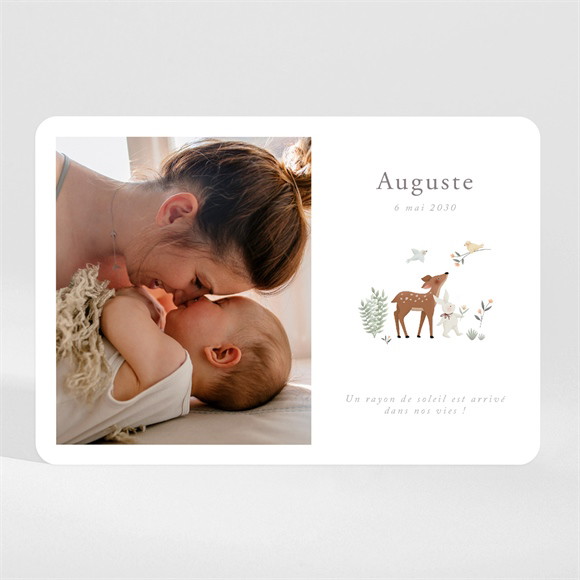 Faire-part naissance Petits Compères magnet réf.N110168