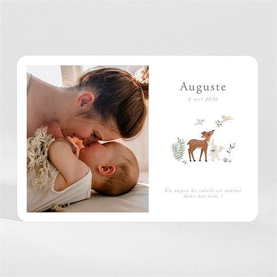 Faire-part naissance petits compères magnet