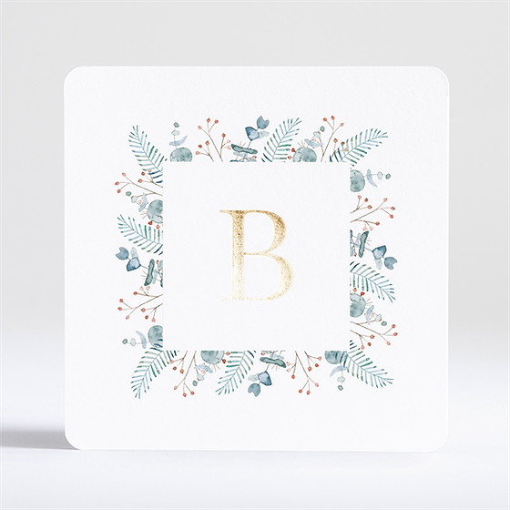 Faire-part naissance esquisse végétale dorure