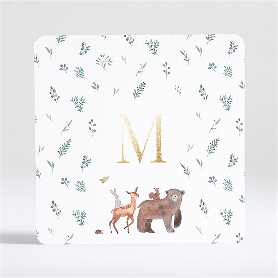 Faire-part naissance la joyeuse bande or