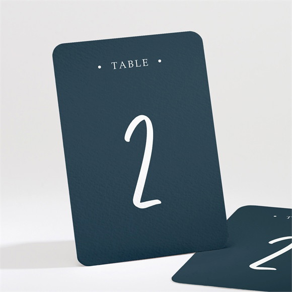 Numéro de table mariage Belle Idylle réf.N211533