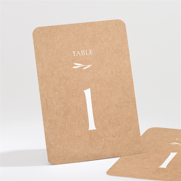 Numéro de table mariage Bohème écolo réf.N211540