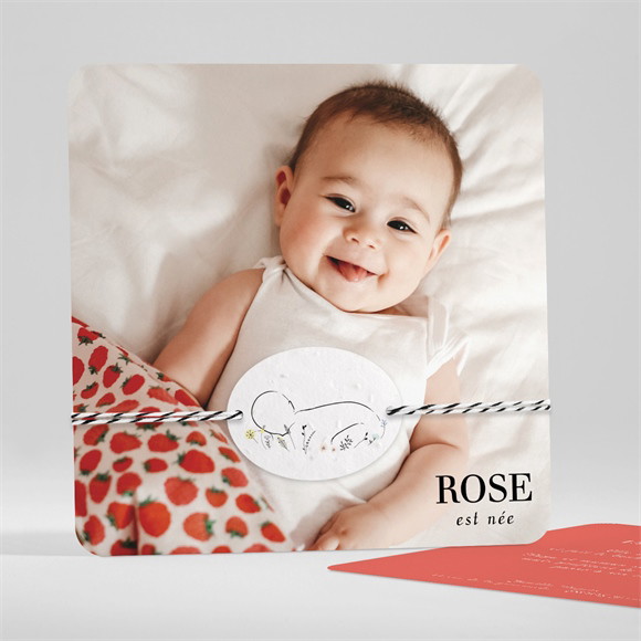 Faire-part naissance Mon Bébé Grenadine ensemencée réf.N351348