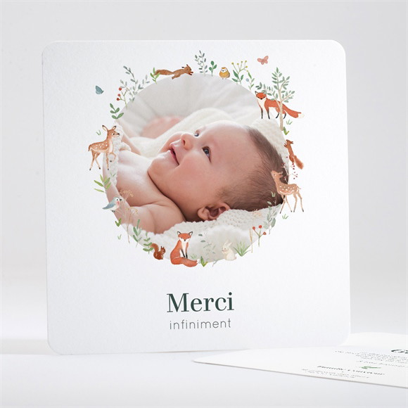 Remerciement naissance Gaiement réf.N351369