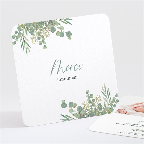 Remerciement naissance Nouvelle printanière réf.N301435