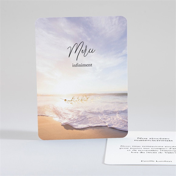 Remerciement décès Au Revoir réf.N28150