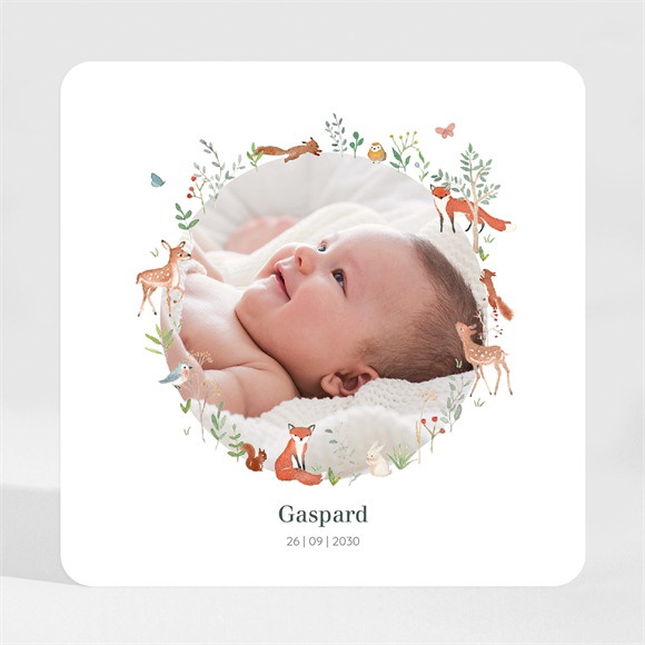 Faire-part naissance Gaiement magnet réf.N3001940