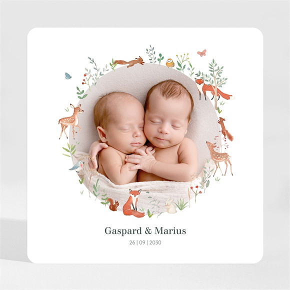 Faire-part naissance Jumeaux & animaux magnet réf.N35004