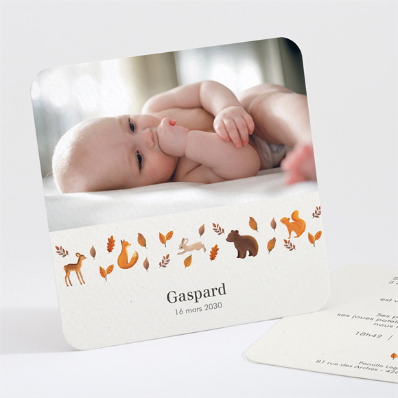 Faire-part naissance Renard et Animaux réf.N301453