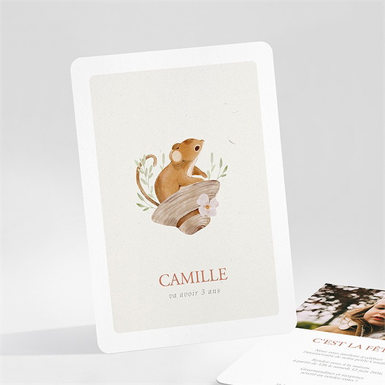 Invitation anniversaire petite souris