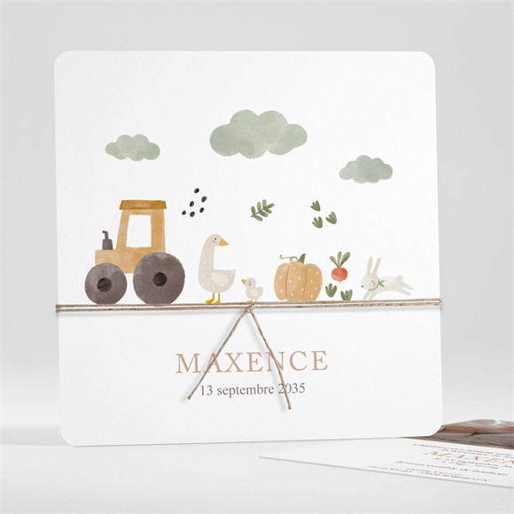 Faire-part naissance Dans la ferme carré réf.N351504