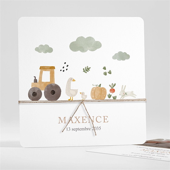 Faire-part naissance dans la ferme carré