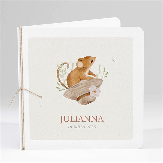 Faire-part naissance ma petite souris