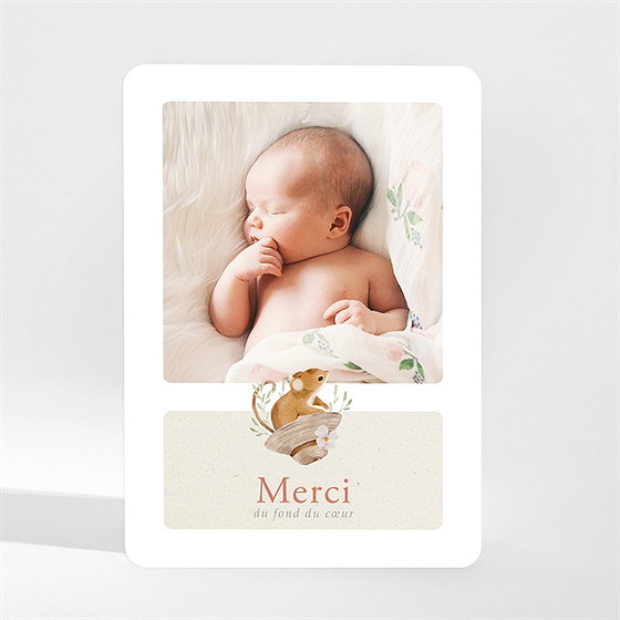 Remerciement naissance ma petite souris