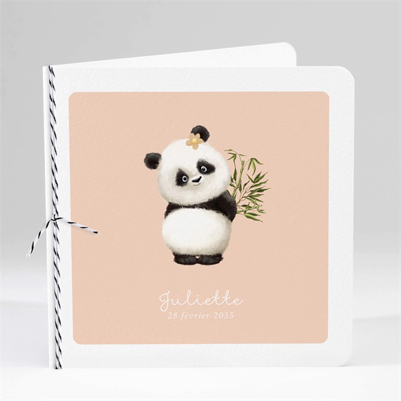 Faire-part naissance Mon panda réf.N451561