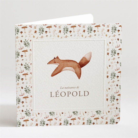 Faire-part naissance Renard automne réf.N451565