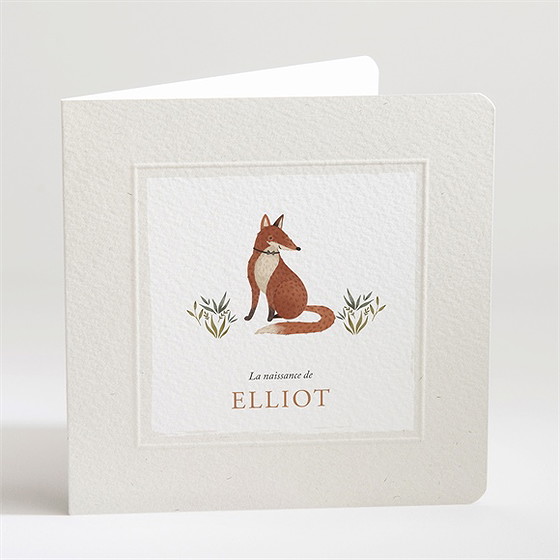 Faire-part naissance le conte du renard