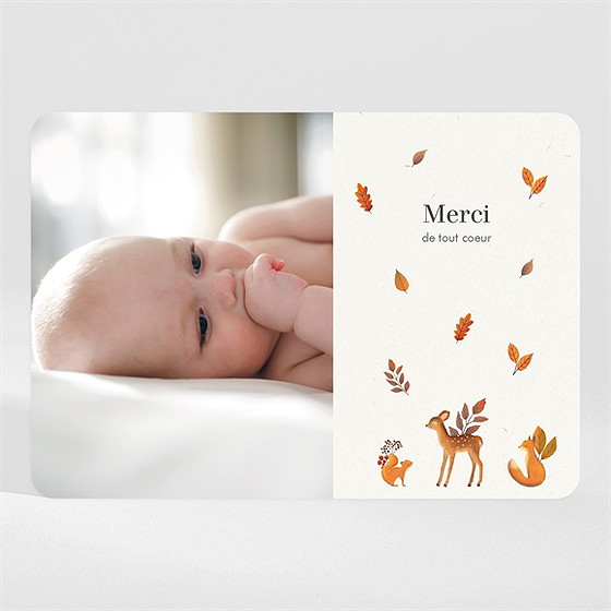 Remerciement naissance renard et animaux