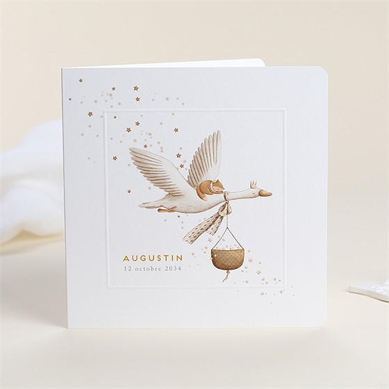 Faire-part naissance cigogne