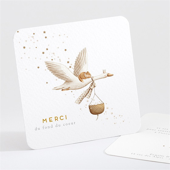 Remerciement naissance cigogne