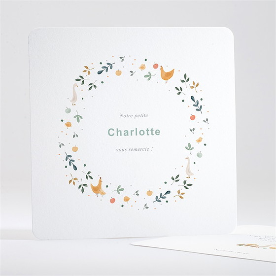 Remerciement naissance tendres animaux