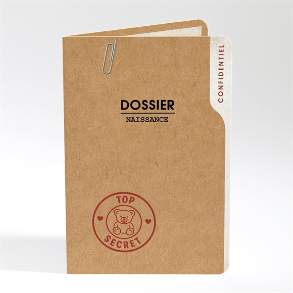 Faire-part naissance Dossier confidentiel réf.N401927