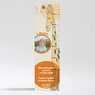 Faire-part naissance faire-part naissance