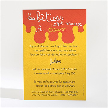 Faire-part naissance les bêtises à deux jaune - Dos du faire-part