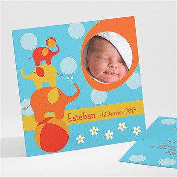 Faire-part naissance faire-part naissance