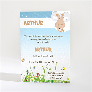 Faire-part naissance faire-part naissance - Dos du faire-part