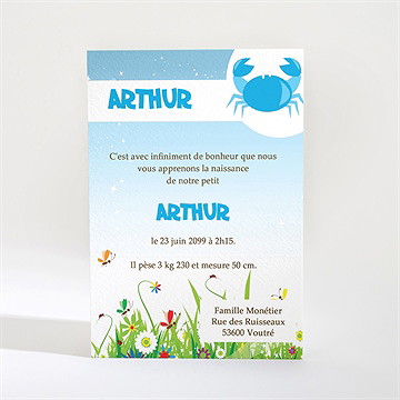 Faire-part naissance faire-part naissance - Dos du faire-part