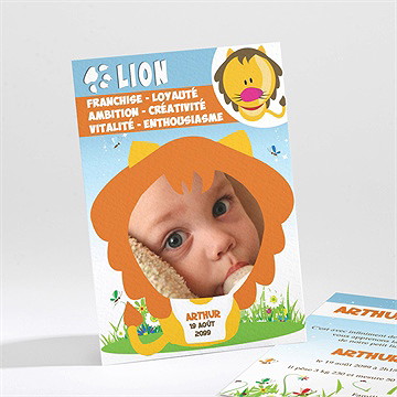 Faire-part naissance faire-part naissance