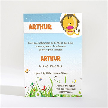 Faire-part naissance faire-part naissance - Dos du faire-part