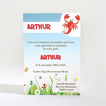 Faire-part naissance faire-part naissance - Dos du faire-part