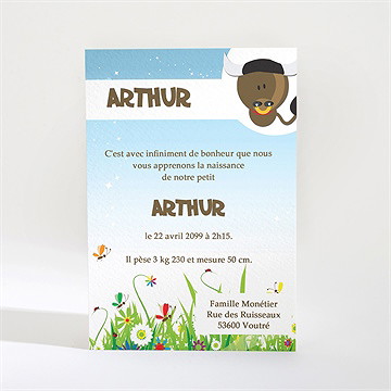 Faire-part naissance faire-part naissance - Dos du faire-part