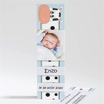 Faire-part naissance faire-part naissance