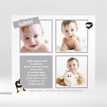 Faire-part naissance notre petit pingouin