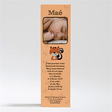 Faire-part naissance faire-part naissance