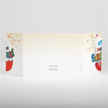 Faire-part naissance petit oeuf surprise - Dos du faire-part