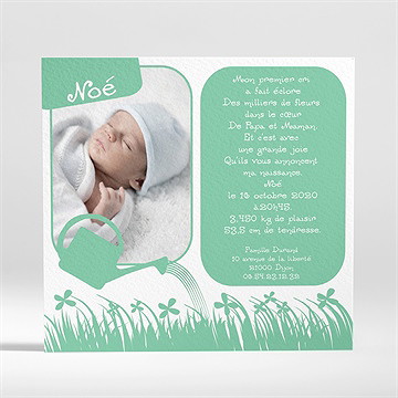 Faire-part naissance dans les herbes