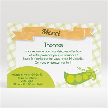 Remerciement naissance réf. N12009