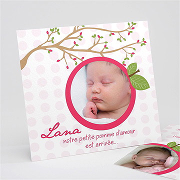 Faire-part naissance faire-part naissance