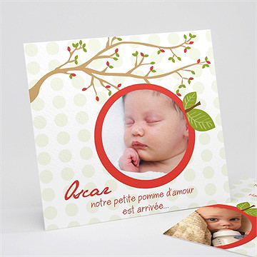 Faire-part naissance petite branche naissance