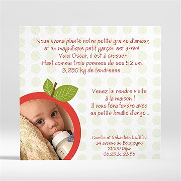 Faire-part naissance petite branche naissance - Dos du faire-part